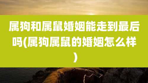 属狗和属鼠婚姻能走到最后吗(属狗属鼠的婚姻怎么样）