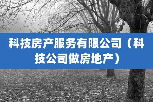 科技房产服务有限公司(科技公司做房地产)