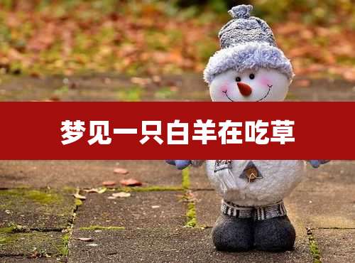 梦见一只白羊在吃草
