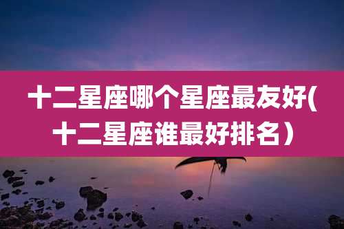 十二星座哪个星座最友好(十二星座谁最好排名)
