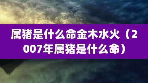 属猪是什么命金木水火(2007年属猪是什么命)