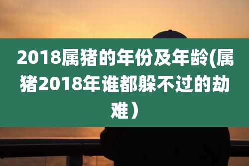 2018属猪的年份及年龄(属猪2018年谁都躲不过的劫难)