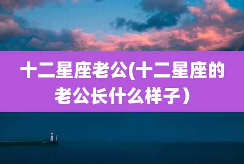 十二星座老公(十二星座的老公长什么样子)