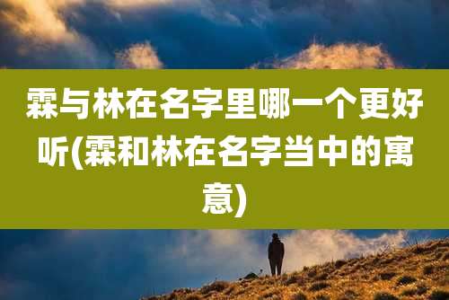 霖与林在名字里哪一个更好听(霖和林在名字当中的寓意)