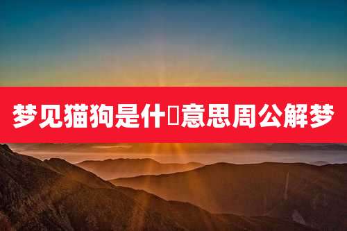 梦见猫狗是什麼意思周公解梦