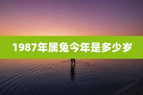1987年属兔今年是多少岁