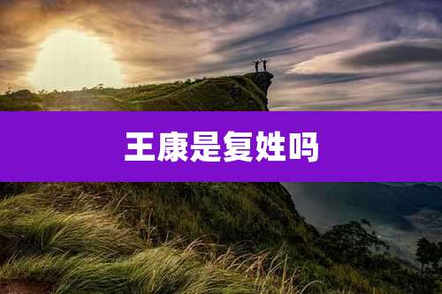 王康是复姓吗
