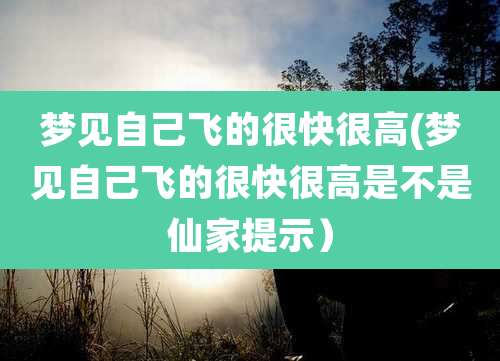 梦见自己飞的很快很高(梦见自己飞的很快很高是不是仙家提示)