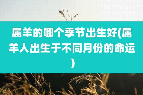 属羊的哪个季节出生好(属羊人出生于不同月份的命运）