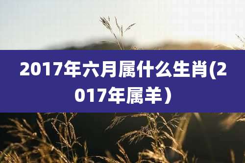 2017年六月属什么生肖(2017年属羊）