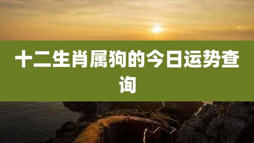 十二生肖属狗的今日运势查询