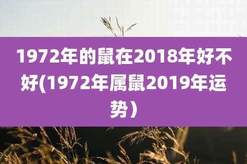 1972年的鼠在2018年好不好(1972年属鼠2019年运势)