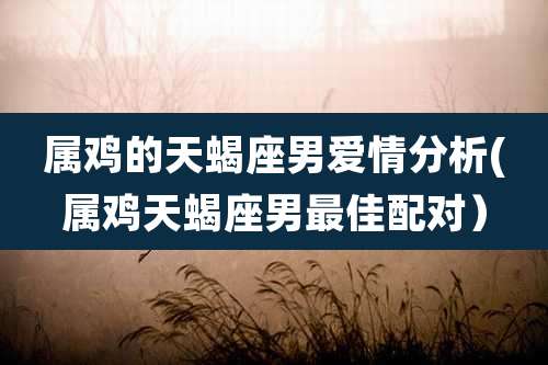 属鸡的天蝎座男爱情分析(属鸡天蝎座男最佳配对)