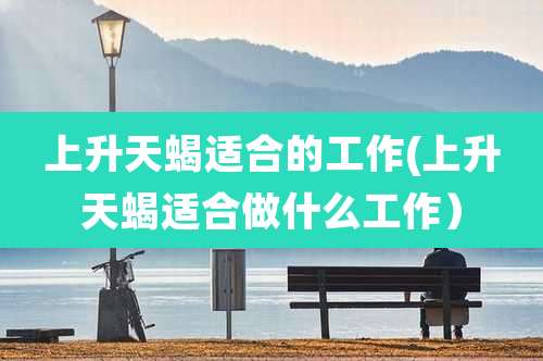 上升天蝎适合的工作(上升天蝎适合做什么工作)