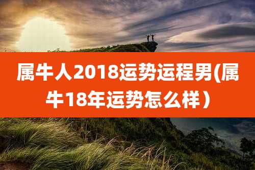 属牛人2018运势运程男(属牛18年运势怎么样)