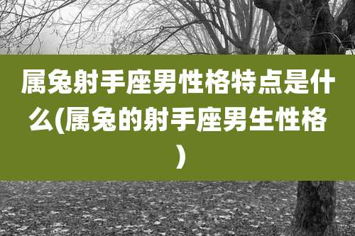 属兔射手座男性格特点是什么(属兔的射手座男生性格)