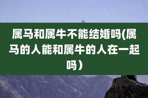 属马和属牛不能结婚吗(属马的人能和属牛的人在一起吗）
