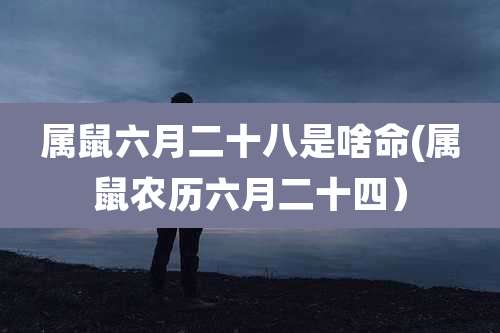 属鼠六月二十八是啥命(属鼠农历六月二十四)
