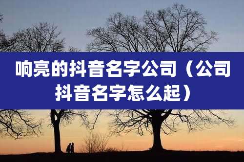 响亮的抖音名字公司(公司抖音名字怎么起)