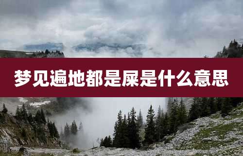 梦见遍地都是屎是什么意思