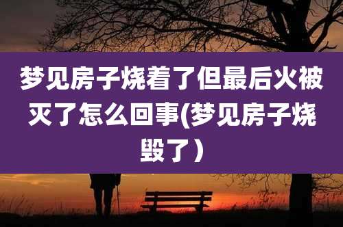 梦见房子烧着了但最后火被灭了怎么回事(梦见房子烧毁了)