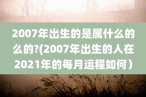 2007年出生的是属什么的么的?(2007年出生的人在2021年的每月运程如何）