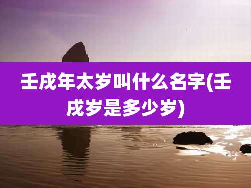 壬戌年太岁叫什么名字(壬戌岁是多少岁)