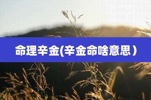 命理辛金(辛金命啥意思）