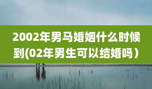 2002年男马婚姻什么时候到(02年男生可以结婚吗)