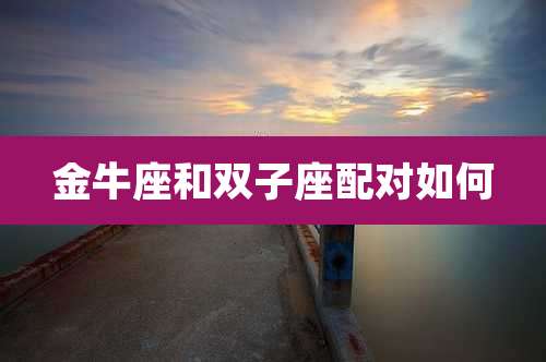 金牛座和双子座配对如何
