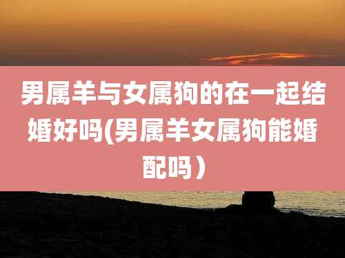 男属羊与女属狗的在一起结婚好吗(男属羊女属狗能婚配吗)