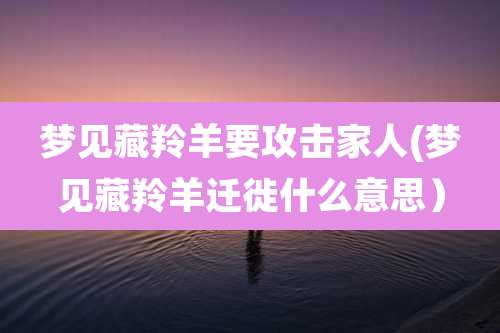 梦见藏羚羊要攻击家人(梦见藏羚羊迁徙什么意思）