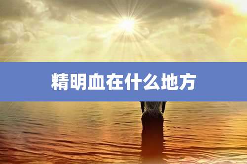 精明血在什么地方