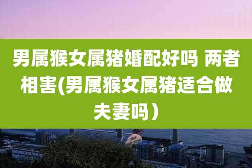 男属猴女属猪婚配好吗 两者相害(男属猴女属猪适合做夫妻吗）