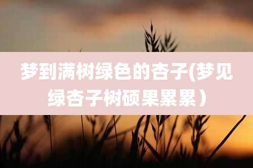 梦到满树绿色的杏子(梦见绿杏子树硕果累累）