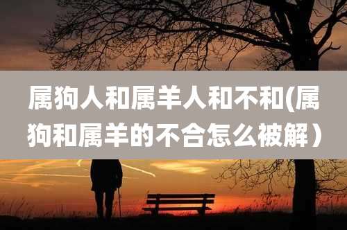 属狗人和属羊人和不和(属狗和属羊的不合怎么被解）