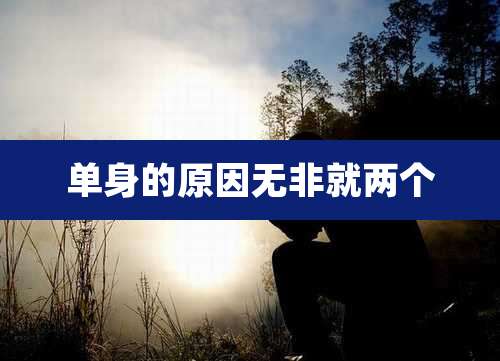 单身的原因无非就两个