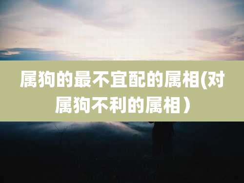 属狗的最不宜配的属相(对属狗不利的属相)