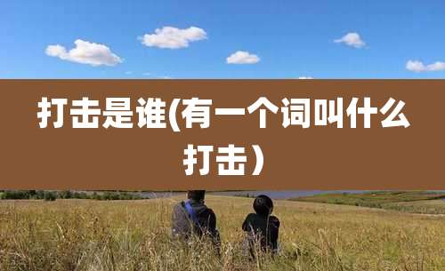 打击是谁(有一个词叫什么打击)