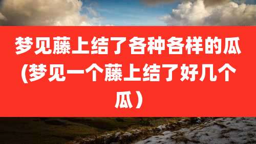 梦见藤上结了各种各样的瓜(梦见一个藤上结了好几个瓜)