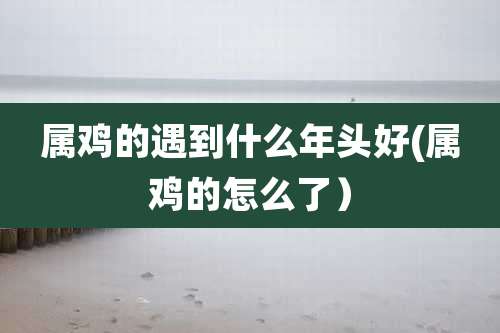 属鸡的遇到什么年头好(属鸡的怎么了)