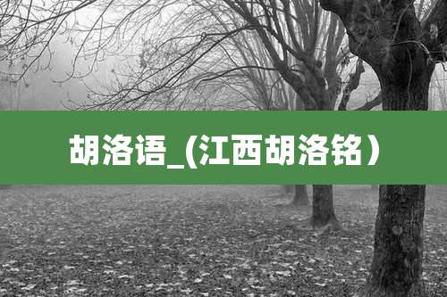 胡洛语_(江西胡洛铭）