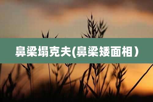 鼻梁塌克夫(鼻梁矮面相）