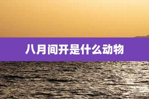 八月间开是什么动物