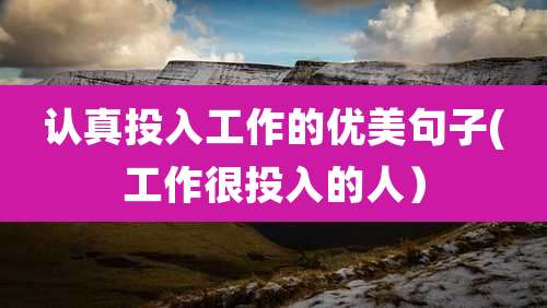 认真投入工作的优美句子(工作很投入的人）