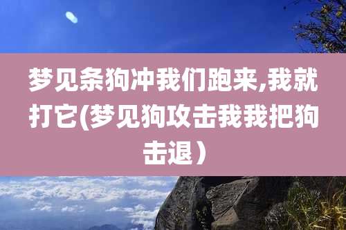 梦见条狗冲我们跑来,我就打它(梦见狗攻击我我把狗击退)