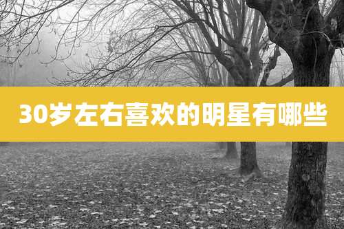 30岁左右喜欢的明星有哪些