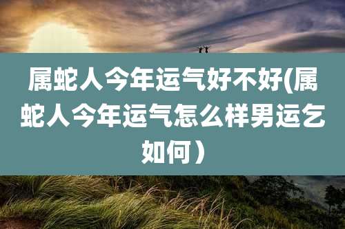 属蛇人今年运气好不好(属蛇人今年运气怎么样男运乞如何)