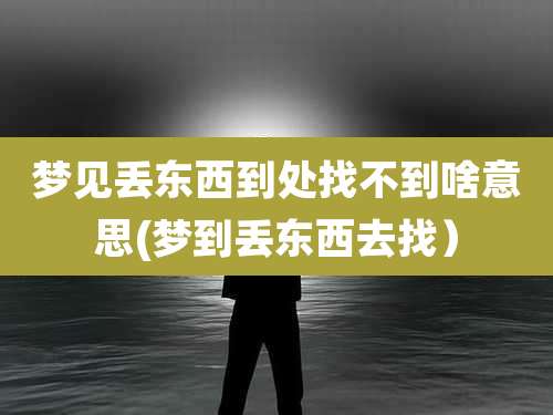 梦见丢东西到处找不到啥意思(梦到丢东西去找)