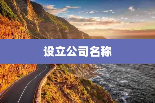 设立公司名称